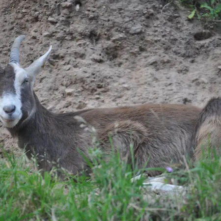 Kuehns Muehle Oestrich-Winkel