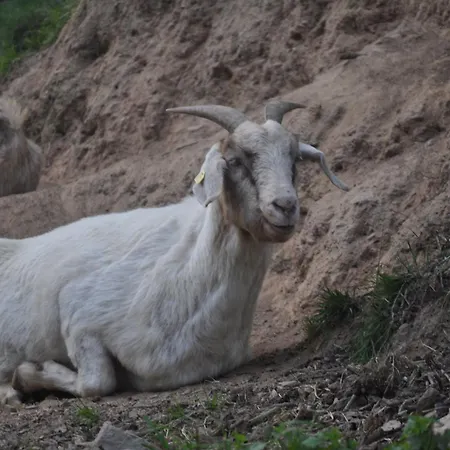 Gæstehus Kuehns Muehle