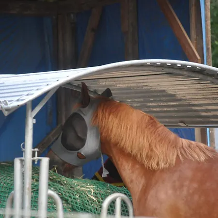 Gæstehus Kuehns Muehle 3*