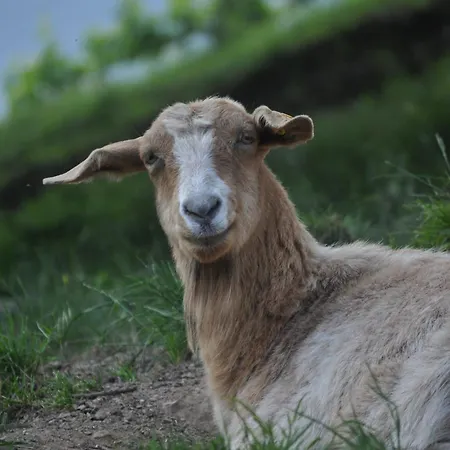 Gæstehus Kuehns Muehle 3*
