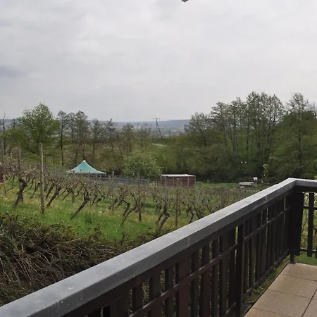 Hotel Kuehns Muehle 3* Oestrich-Winkel