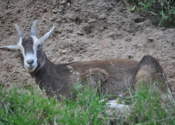 Kuehns Muehle Oestrich-Winkel