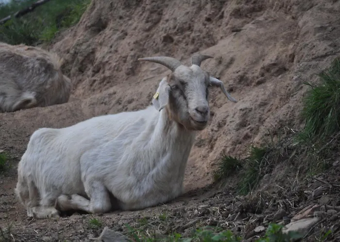 Affittacamere Kuehns Muehle