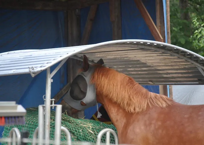 Affittacamere Kuehns Muehle 3*