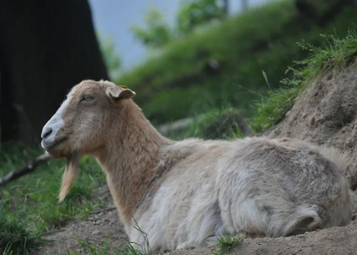 Affittacamere Kuehns Muehle Oestrich-Winkel