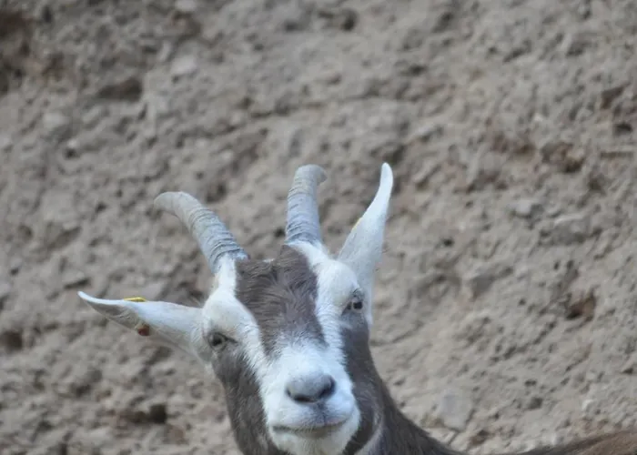 Kuehns Muehle Oestrich-Winkel
