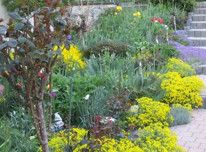 Kuehns Muehle 3* Oestrich-Winkel